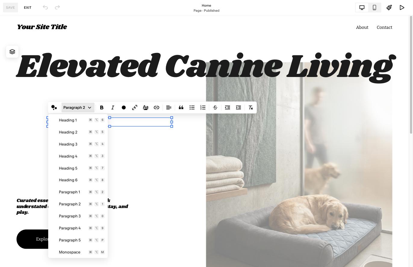 Heading 5 and Heading 6 in the Squarespace text menu